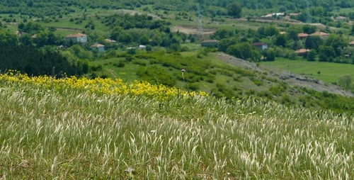 Scenic Rural Landscape with Wheat Field and Hills