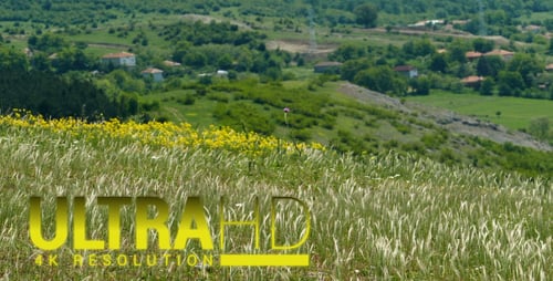 Rural Landscape with Rolling Green Hills and Wildflowers