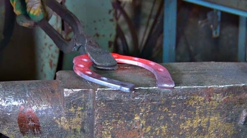Blacksmith Shaping Red Hot Horseshoe with Hammer