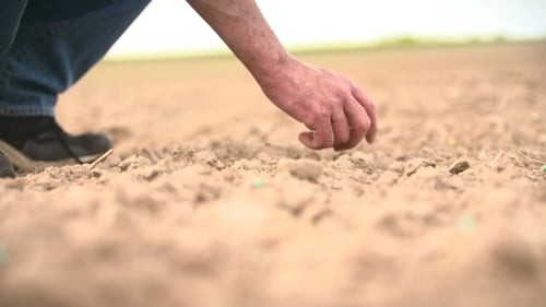 Farmer Planting Seeds in Fertile Soil Close Up