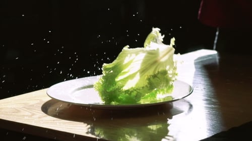 Lettuce Splashes onto White Plate in Bright Studio