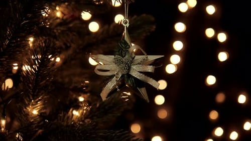 Elegant Christmas Tree with Star Decoration and Lights