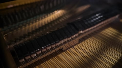 Piano Internal Close Up, Music Instrument Details