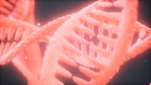 Double Helical Structure of Dna Strand Close-up