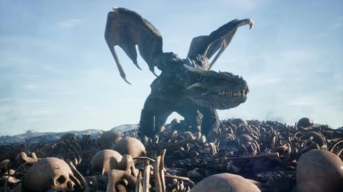 Dragon Lands on Human Bones