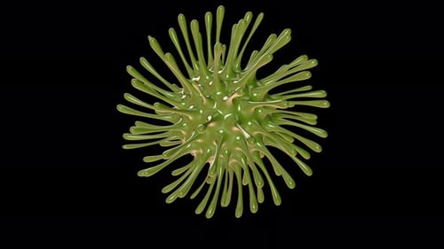 Corona Virus Under microscope
