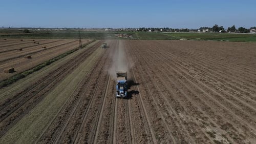 Der Traktor, der Erdnüsse erntet, funktioniert im weiten Feld