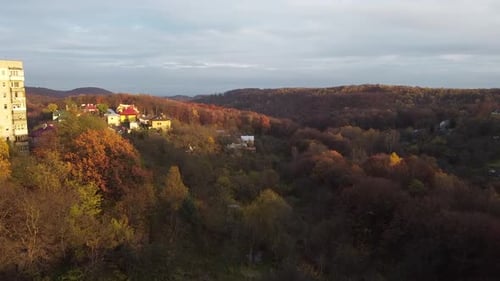 Luftaufnahme einer Drohne, die über die Gebäude und den Wald fliegt.