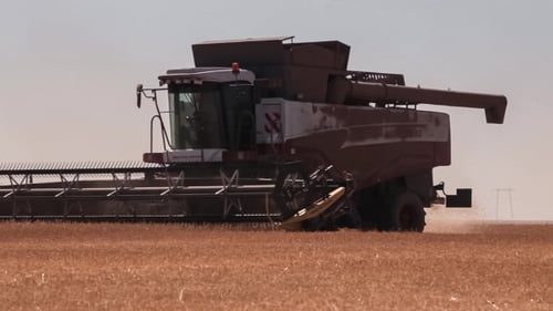 Combine Harvester Harvesting Crop in Field