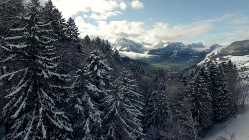 Snowy Forest and Mountains Aerial Winter Landscape
