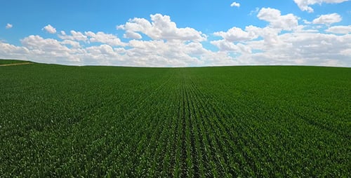 Crop