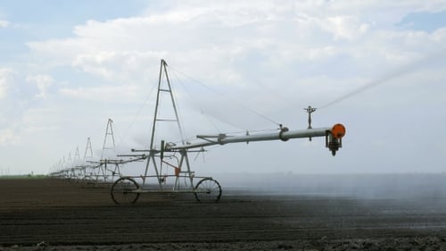 Sprinkler Irrigation System Is Sprinkling Water In a Field