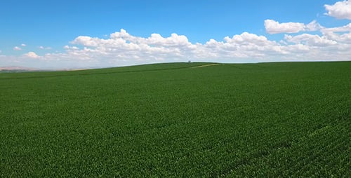 Zeit der Landwirtschaft