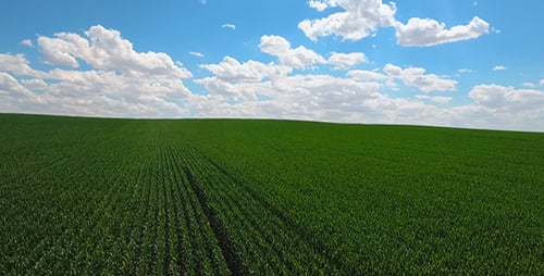 Aerial Agriculture