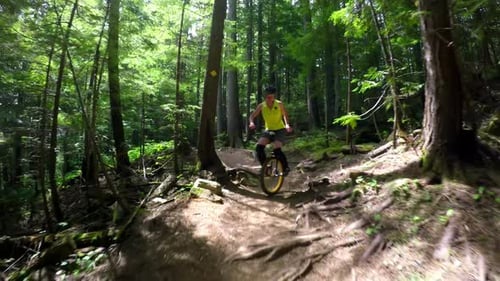 Woman riding unicycle in the forest 4k
