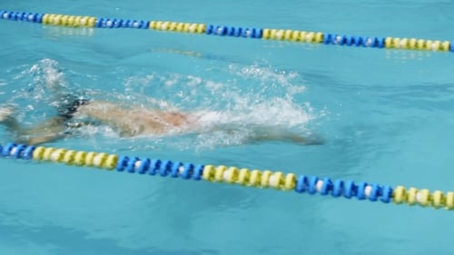 Swimming Competition. Swimmer Swims To The Finish.