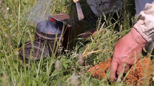 Beekeeper And Smoker. Man With a Smoker For Bees