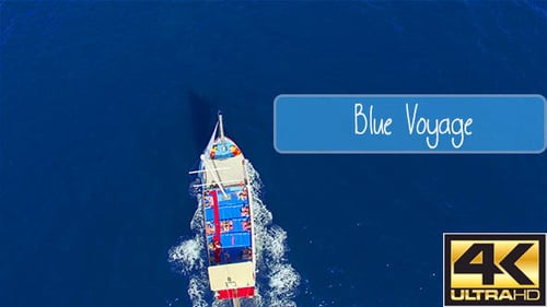 Blue Voyage