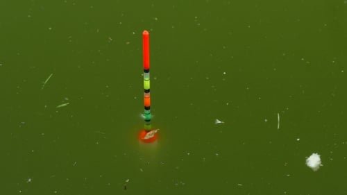 Flutuador brilhante movendo-se na água