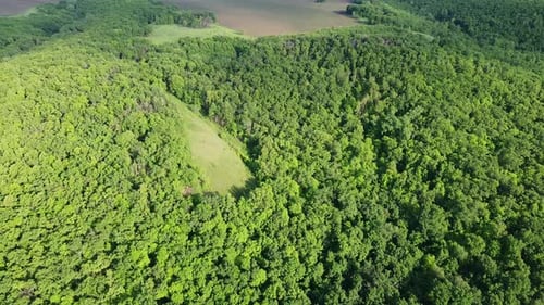 Luftaufnahme über eine wunderschöne Landschaft. Felder und grüne Bäume von oben