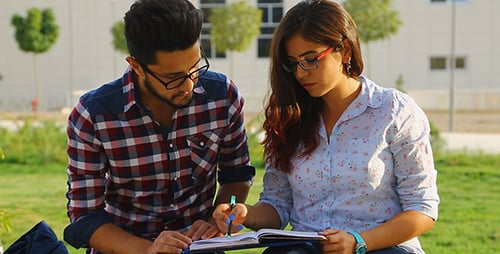 Students Study Together Outdoors on University Campus