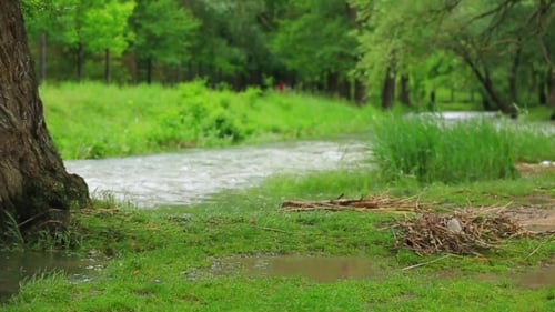 Rivière en crue qui coule dans le parc vert