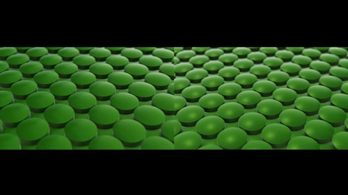 Seamless Green Geometric Waving Circles Abstract Background