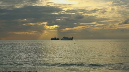 Morning Ocean Landscape