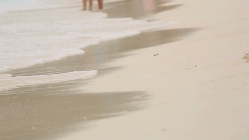 Tourists Walk On The Beach