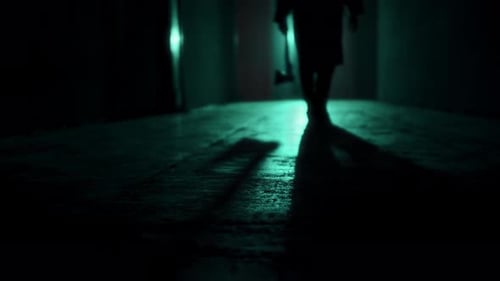 Sinister Figure Walks Down Dark Hallway with Ax
