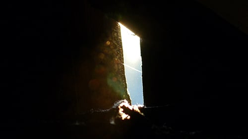 Dust In Light 2