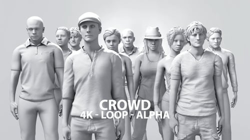 3D Animated Crowd of Diverse People