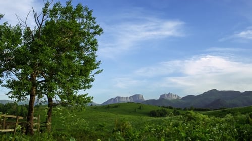 Fields Of Green Grass In The Mountains Of The Caucasus