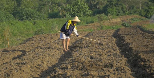 Farmer Working At Spring Ground