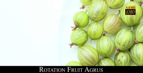 Fresh Green Gooseberries on White Background, Close Up