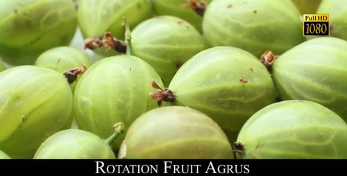 Rotation Fruit Agrus 2