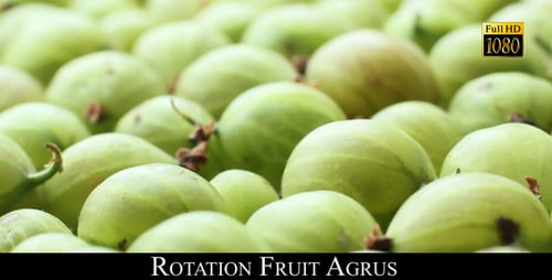 Rotation Fruit Agrus 3