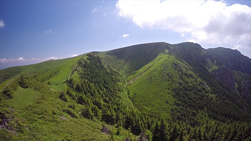 Aerial View of Lush Green Rolling Mountains