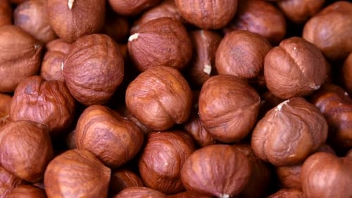 Hazelnuts Close-Up Rotating