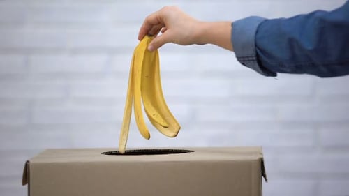 Banana Peel Tossed Into Cardboard Recycling Box