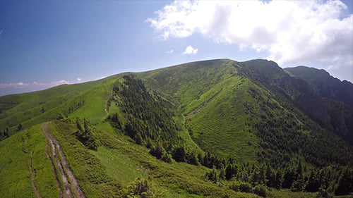 Aerial Forest in the Red Mountain
