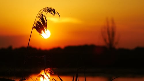 Sonnenaufgang