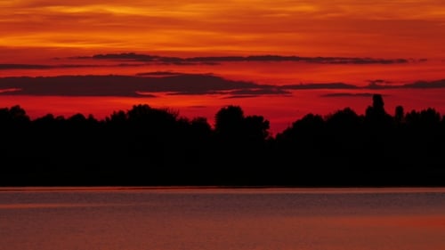 Red Sunset Over Still Lake With Tree Silhouette