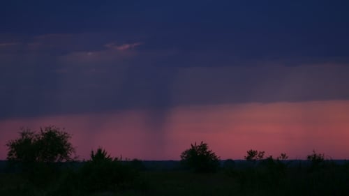 Rural Sunset with Distant Rain Showers and Birds