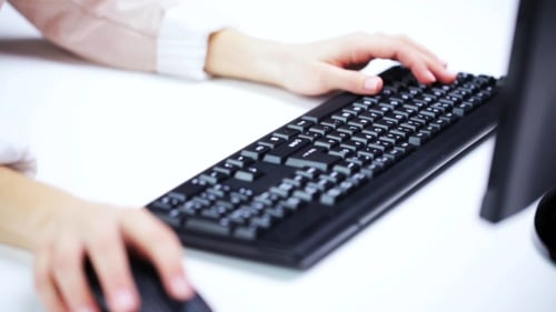 Woman Hands Typing On Computer Keyboard At Office 53