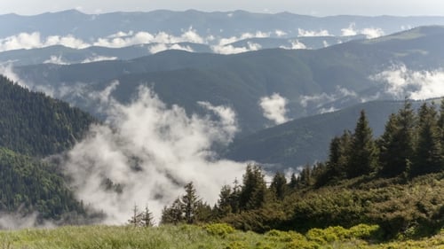 Malerischer Blick auf von Nebel bedeckte Bergwälder