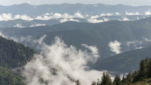 Scenic View Of Mountain Forests Covering By Fog