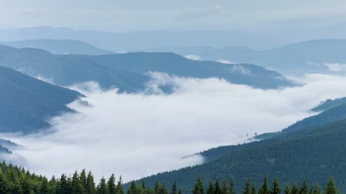 Scenic View Of Mountain Forests Covering By Fog