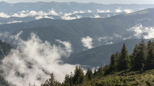 Scenic View Of Mountain Forests Covering By Fog