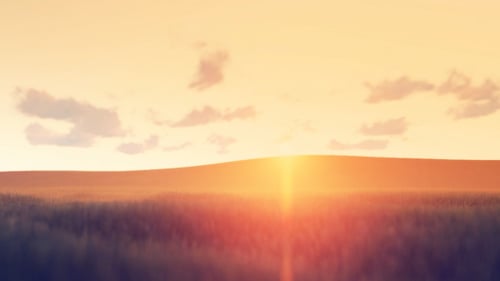 Golden Sunrise Over Forest Horizon Landscape Animation